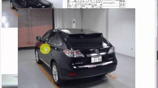 Car Auction Bidding screenshot 4