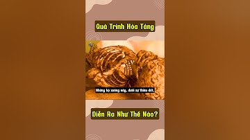Quá Trình Hỏa Táng Diễn Ra Như Thế Nào?#youtubeshorts