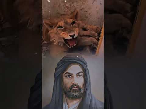 اسد يقول يا علي اكسبلور دويتو عيد الغدير لايك واشتراك ياعلي مولا ع ل يہ الس لام
