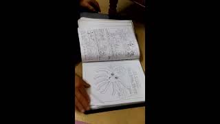 Preparantaj libroj de BAK Mi-hong, 박미홍(Donkiĥoto) 준비 중인 그림책