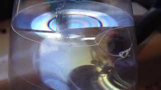 Bubble Dynamics