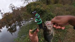 REVIEW on Googan Baits Bandito Bug Pure Passion. Do They Really Work? #googanbaits #bass #fishing