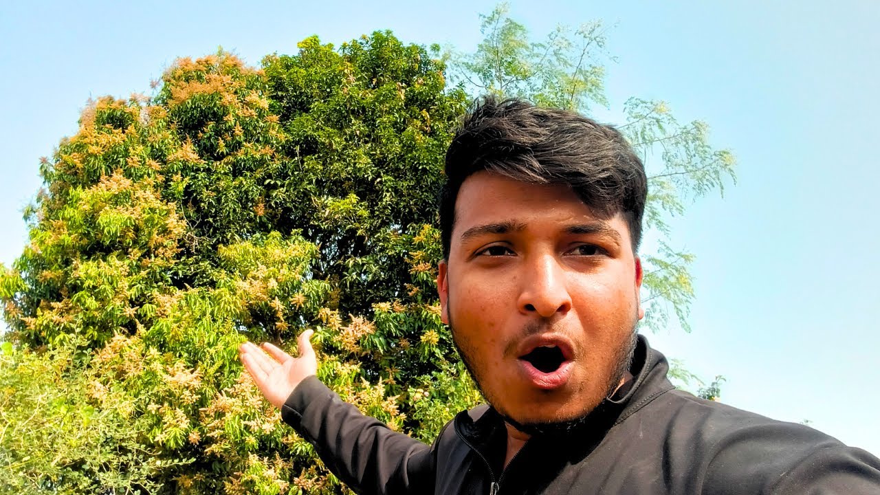Itna Bada Aam Ka Ped | Village  Vlog🌳🥭