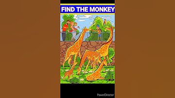 Test Your Eyes : Can You Find The Monkey ? | Eye Test Puzzles & Riddles | #shorts #viral #paheliyan