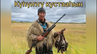 картинка: Күһүҥҥү кус 2023