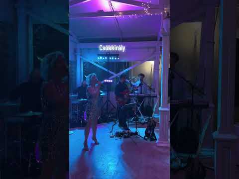 Black Velvet Partyzenekar - Csókkirály