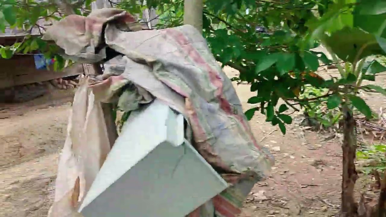 Kastoy ti biyag ditoy probinsya Basta nagaget ka nga agmula ti gulay mabiyag kan ditoy 🥰