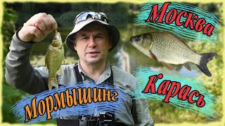 Москва. Карась. Мормышинг