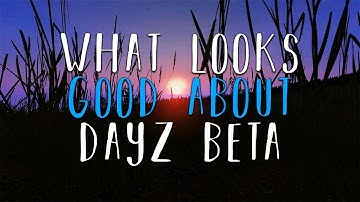 What looks good with DayZ .63?