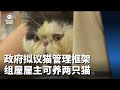 政府拟议猫只管理框架 组屋屋主最多可饲养两只猫