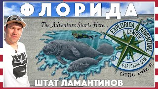 Едем на поиски ламантинов! / Возвращение в Флориду /  Лучший пляж в США / Флорида / США #68