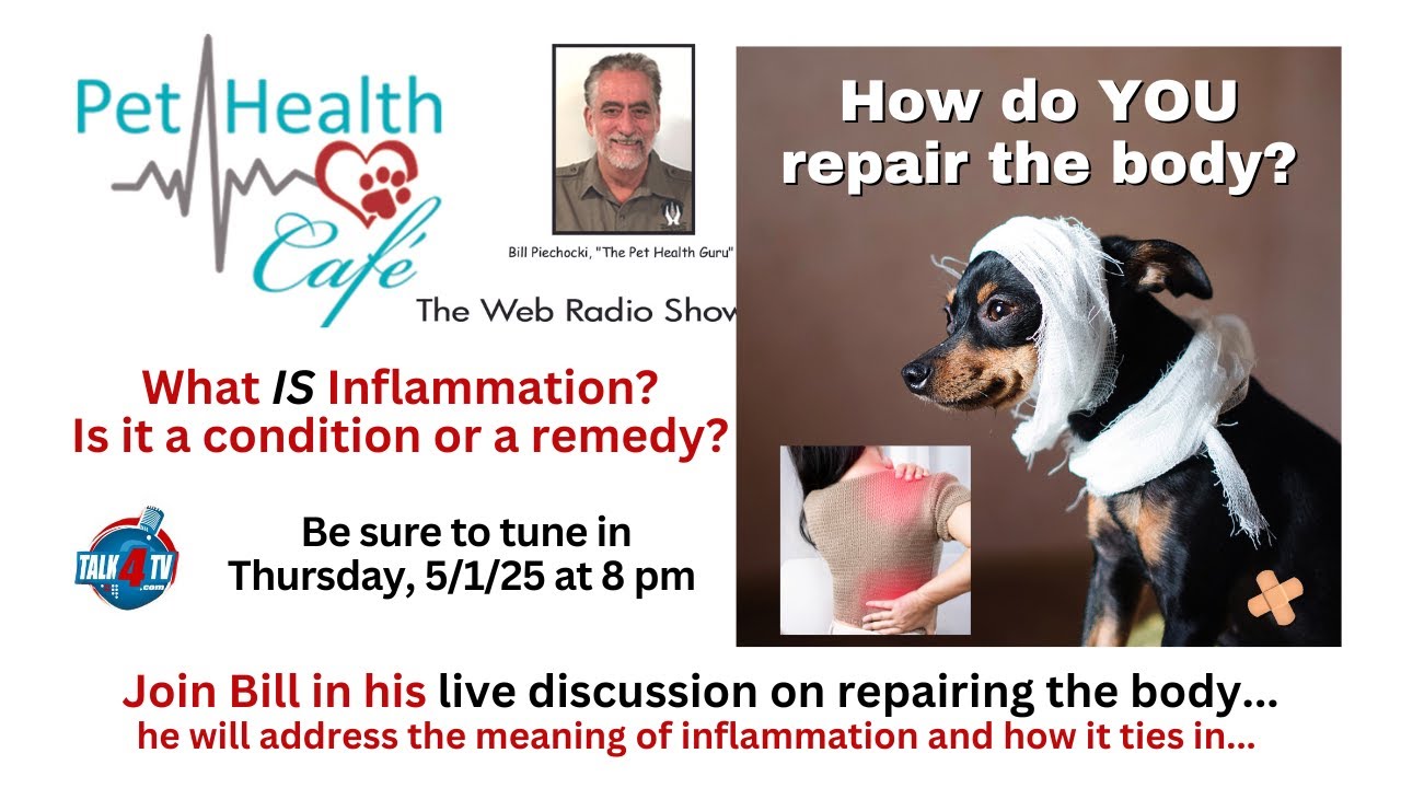 How do you repair the body?