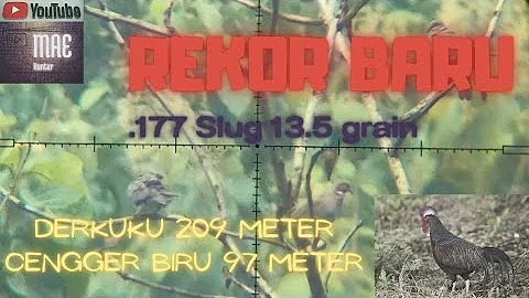 Rekor baru!!! Jangkauan jarak jauh 209 meter