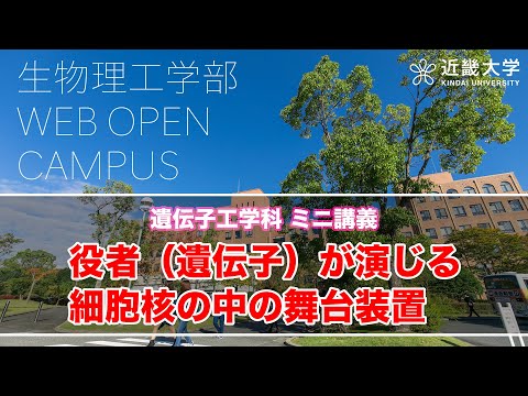 遺伝子工学科 ミニ講義「役者（遺伝子）が演じる細胞核の中の舞台装置」【近畿大学生物理工学部】