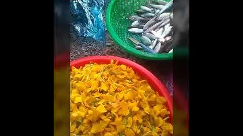 Canh chua cá linh bông điên điển (hương vị miền tây)