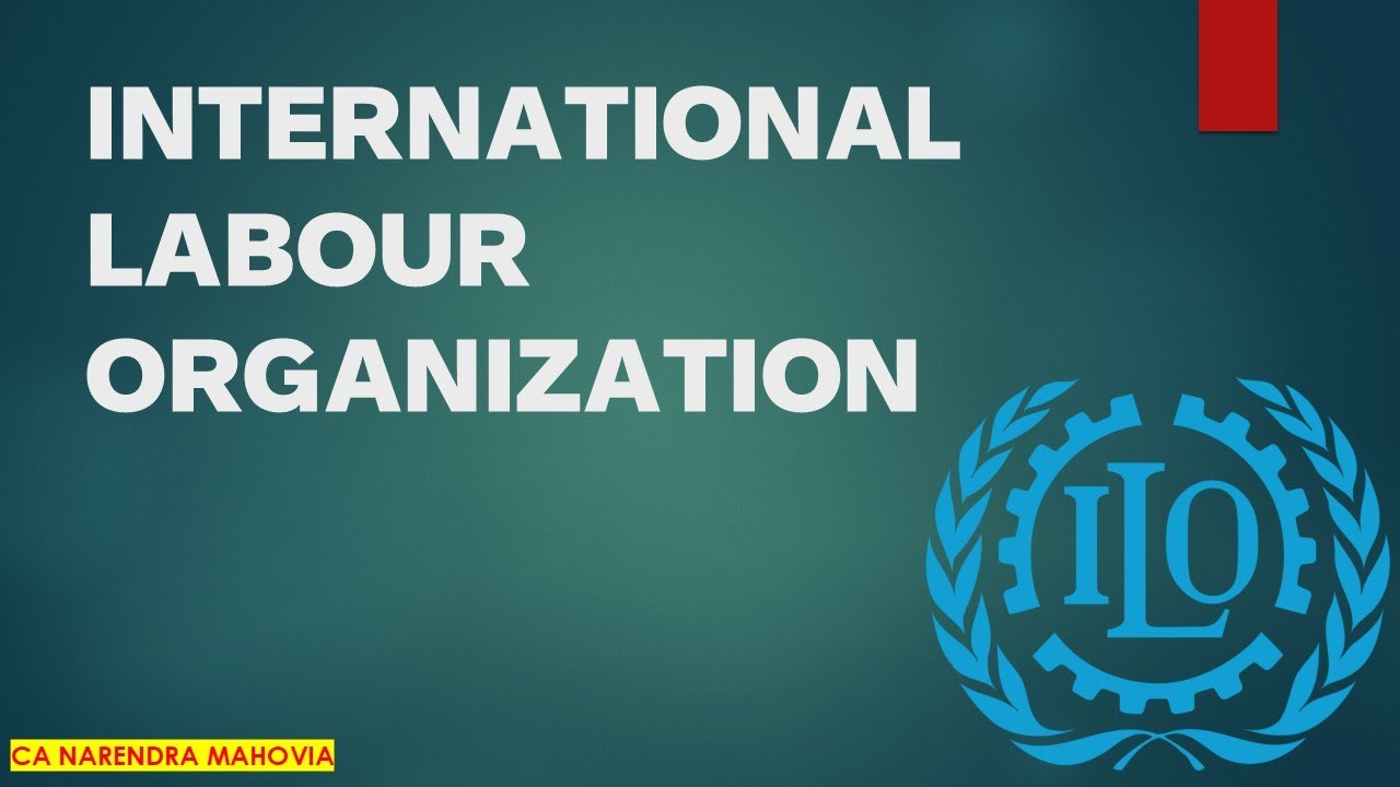 6  International Labor organisation