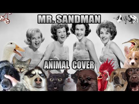 The Chordettes - Mr. Sandman Animal Cover OnlyAnimalSounds