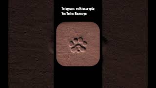 ЦЕНА PAWS  #crypto #ton #telegram #solana