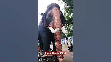 ARTIFICIAL ELIPHANT | Pammal | #shorts #short #viral