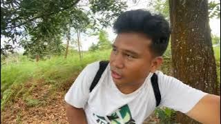 BANYAK BURUNG BURUNG UNIK NYA DI HUTAN INI, MIKAT BURUNG KECIL SPOT KETAGIHAN DAPAT BURUNG BANYAK