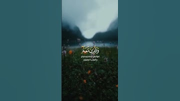 محمد رسول الله والذين معه | سورة الفتح | اسلام صبحي