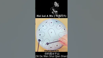 你的萬水千山 (Ni De Wan Shui Qian Shan) - Hai Lai A Mu (海来阿木)