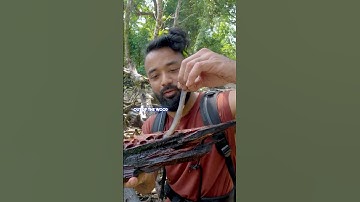 Makan Makanan Paling Eksotis di Filipina, Cacing Kayu! #shorts