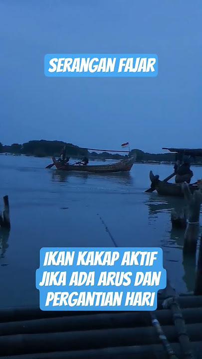 Mancing lagi ! tips dan trik saat mancing kakap putih atau barramundi ! #lrl #fishing #happy #funny