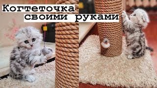 Когтеточка Для Кошек Своими Руками Пошагово Фото