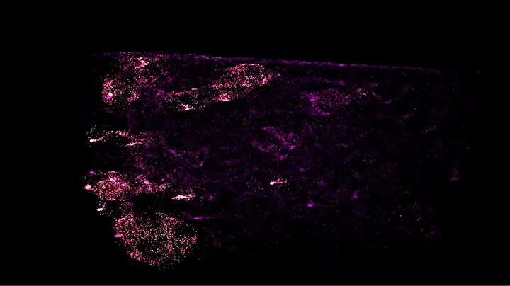 Vuzic - Particle Simulator