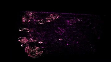 Vuzic - Particle Simulator