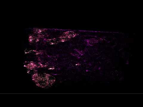 Vuzic - Particle Simulator
