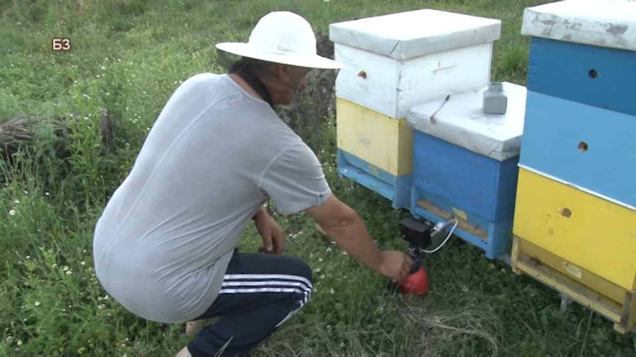 Upotreba oksalne kiseline protiv varoe U PRAKSI I KONKRETNO