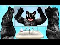 Я ПРЕВРАТИЛСЯ В КАЧКА МУЛЬТЯШНОГО КОТА В ГАРРИС МОД! CARTOON CAT SCP ЭКСПЕРИМЕНТ В Garry`s Mod!