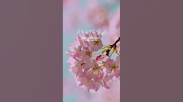 سورة طه #قرآن #قران_كريم #سورة_طه #أحمد_خضر #تجويد