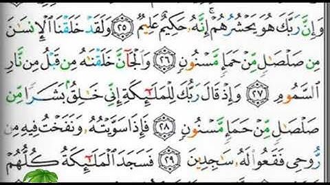 مصحف التجويد الصفحة 263 إبراهيم الأخضر