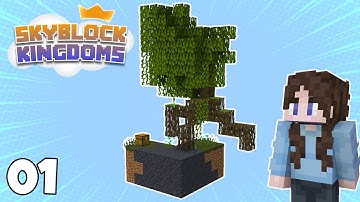 I Joined the First Skyblock SMP! - Skyblock Kingdoms Ep.1