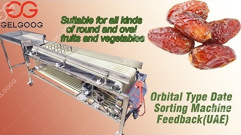 Date Sorting Machine Feedback From UAE Customer