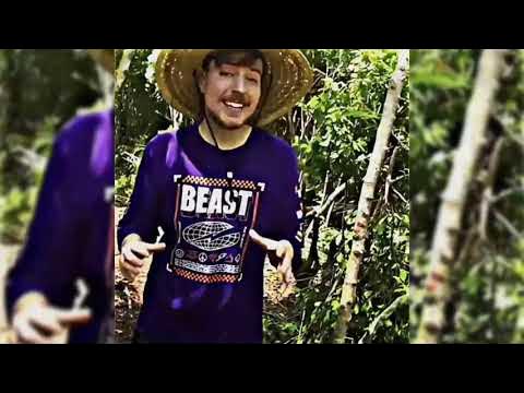 mrbeast meme song Phonk (slowed) TikTok meme 48540837040