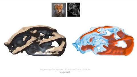 Single-image Tomography: 3D Volumes from 2D X-Rays