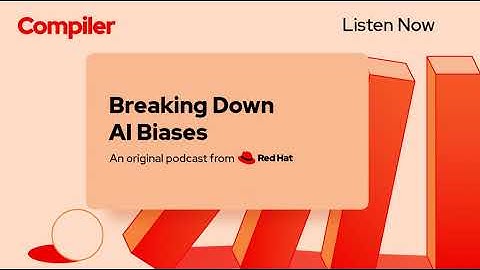 Breaking Down AI Biases