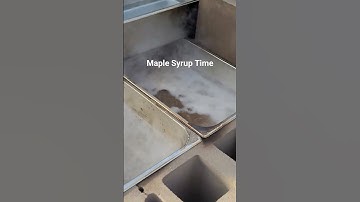 Boiling Maple Sap on a Budget #maple #syrup #BoilOn