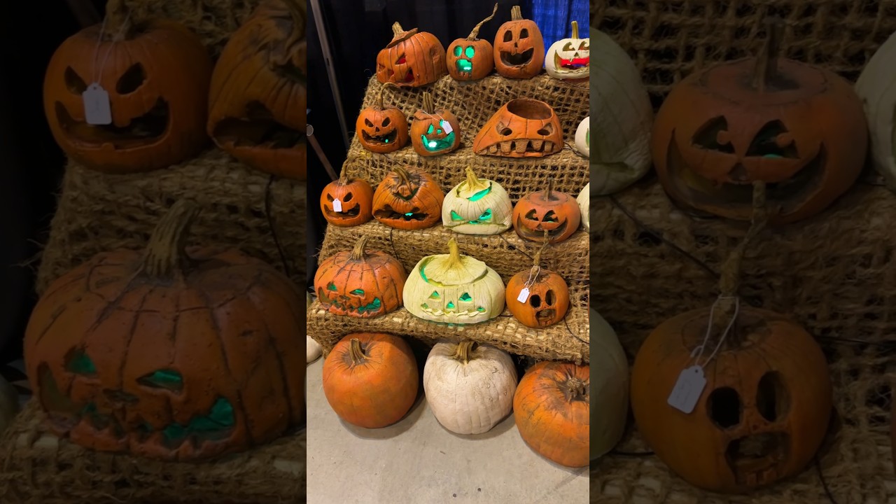 Pumpkins!  🎃 #shorts #halloween #pumpkin #pumpkins #jackolantern