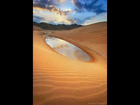 الشيخ صلاح ابو خاطر اتأمرون الناس بالبر وتنسون انفسكم وانتم تتلون الكتاب