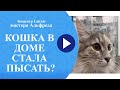 КОШКА ССЫТ, КОШКА МЕТИТ, КОШКА ГАДИТ, КАК ОТУЧИТЬ