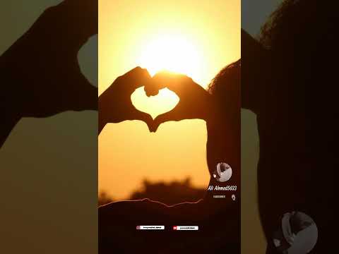 من يسكن الروح كيف القلب ينساه اناشيد اسلاميه العراق اكسبلور فولو