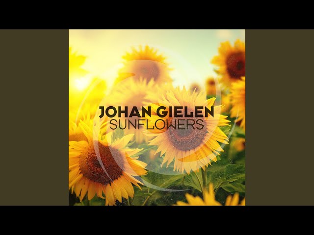 Johan Gielen - Sunflowers