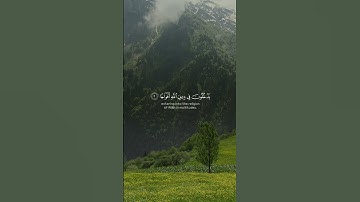 بصوت القارئ بيشه وا الكردي سورة النصر تلاوة مؤثرة  #اكسبلور