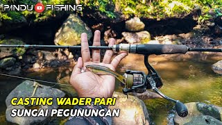 KOK BISA ⁉️ CASTING WADER PARI MENGGUNAKAN LURE RAYAP ASLI GACOR