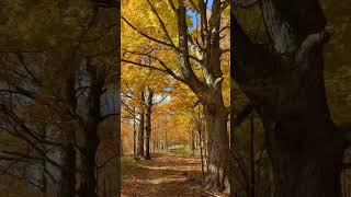 Fall Road Trip Sheboygan WI